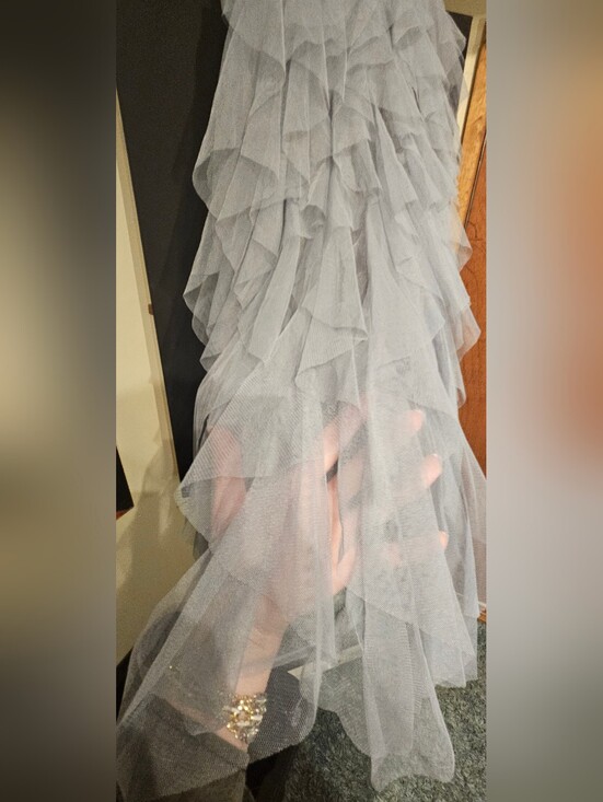 Chicwish Dresses & Skirts - Chicwish Light Gray Layered Tulle Skirt